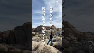 ロサンゼルスに砂漠があるって知ってた？絶対に行ってほしいおすすめスポットです🌵