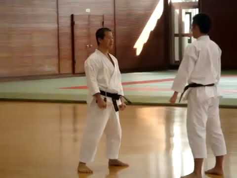 Self Defense - Masao Kagawa