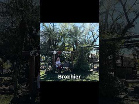 Cidades gaúchas Brochier  37/497 #riograndedosul #cidadesbrasileiras #cidadesdobrasil #cidades