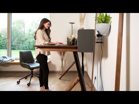 pisa Schreibtisch  | TEAM 7