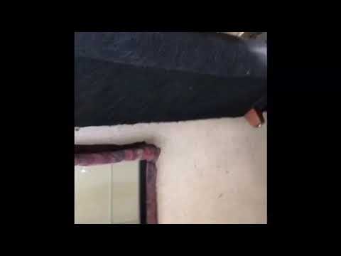 Bed bugs found in time in apartment in Asbury Park, NJ