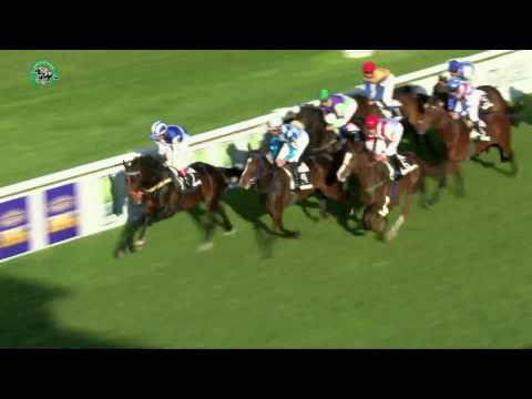 BA 23.4. Dostihy 8 - Cena Projektu Bratislavské mestské dni