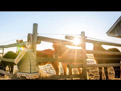 Waldheimat (epic!) - Steirische Harmonika - Vorschau