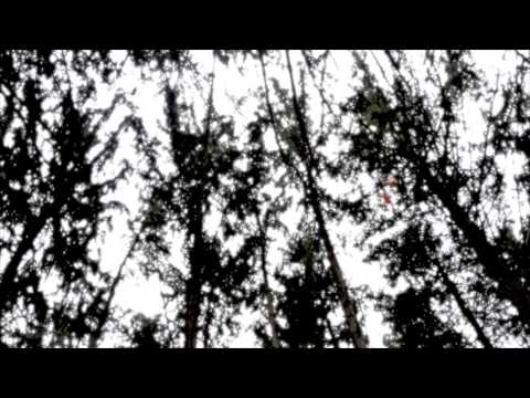 Rommel Suelan Film Reel