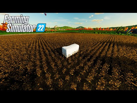 HARVESTING AND LOAD WHEAT IN MINI TRUCKS  - Farming Simulator 22