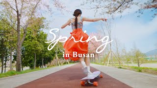 BUSAN Longboarding with Hyojoo in Spring 의 이미지