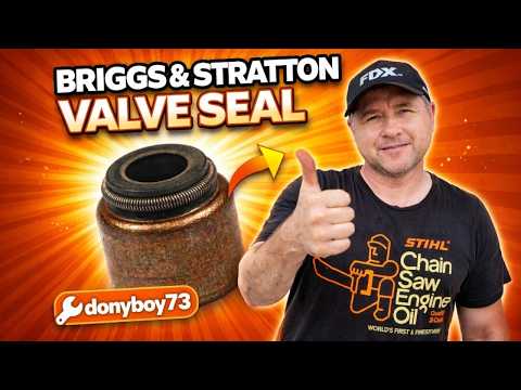 HOW-TO Replace Briggs & Stratton Engine Valve Seals