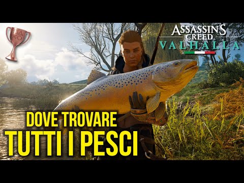 ASSASSIN'S CREED: VALHALLA (ITA) - DOVE TROVARE TUTTI I PESCI - TROFEO Era grande così!