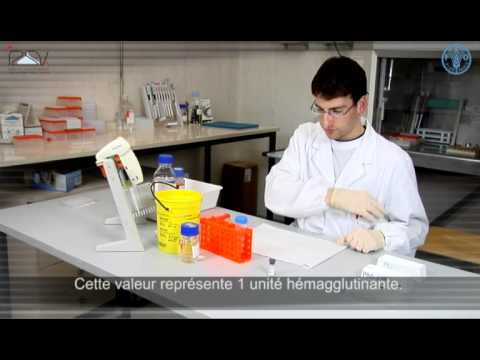 Inhibition de l'hémagglutination (IHA)