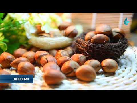 Sve više plantaža lešnika, uvoz smanjen na dva miliona dolara