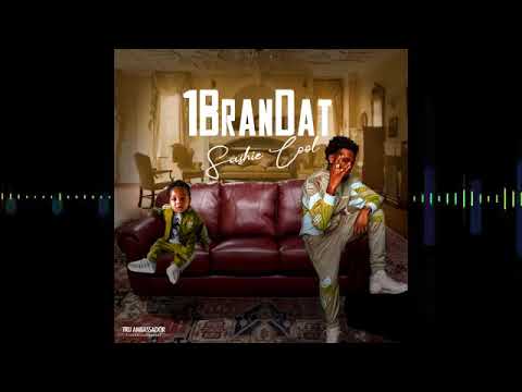 Sashie Cool - 1 BranDat