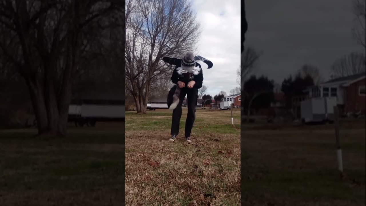 Quad jump 🌿☆ (failed at the end- 😭👍 ) 《#quadrobics #therian #blooper #fyp #dontflop #alterhuman 》