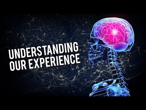 Considering Consciousness | Dr Heather Berlin | Modern Wisdom Podcast 146