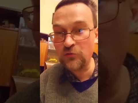 I tak babcia z bratem załatwili Radzia. 