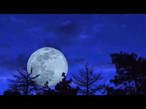 VẦNG TRĂNG VÀ EM /  NHẠC LÊ ĐỨC LONG / CA SĨ : QUỐC KHANH