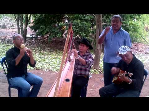 Joel Herbonniere - Siempre con El Llano.