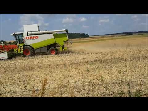 Rapsernte 2019 Teil 1