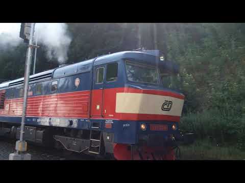 749 121 0 Davle 24. 7. 2021