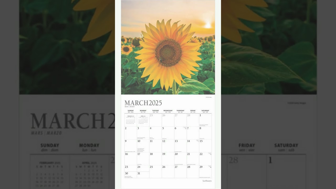 Sunflowers | 2025 Square Wall Calendar | Foil Stamped Cover