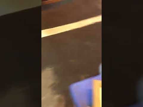 リサイクル段ボールで苗を作ります