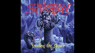 Download lagu Suffocation - Breeding The Spawn - Full Album Vinyl mp3