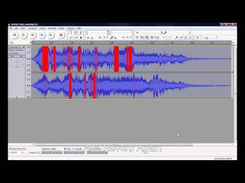 Vocal Reverb Effect in Audacity