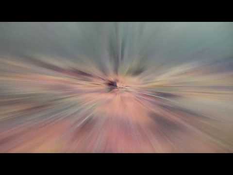 Las i jego mieszkańcy - fotopułapka