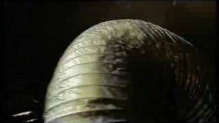 Perfezione - Subsonica