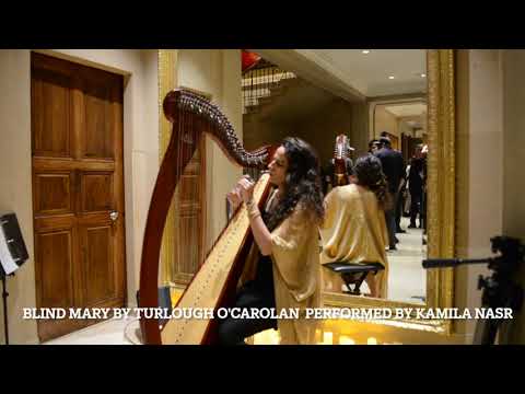 Promotional video thumbnail 2 for Kamila Harpist