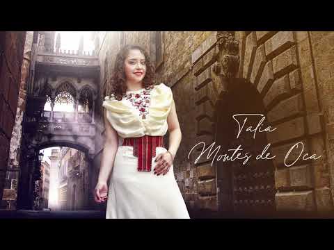 Amarte es todo - Talia Montes de Oca