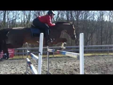 Kurs for Nina Braathen