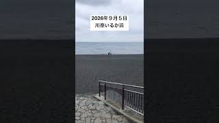 2026年９月５日川奈いるか浜の様子