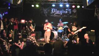 Merauder Ratcatcher Dingbatz Clifton, NJ 11 24 10