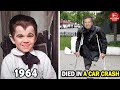 The Munsters 1964 Cast Then And Now 2026 What Happened To The Cast After 62 Years