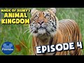 Magic Of Disney S Animal Kingdom Episode 4 Meet The Mandrills Review Breakdown Reaction