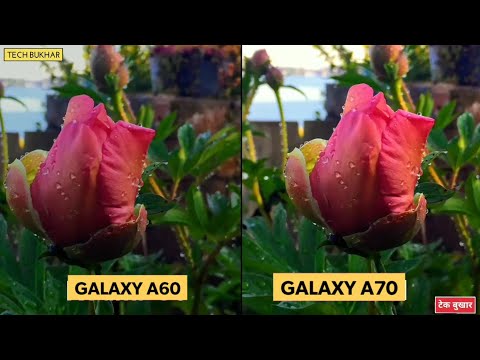 Samsung Galaxy A60 vs Samsung Galaxy A70 Camera Comparison || #GalaxyA70, #GalaxyA60, #TECHBUKHAR