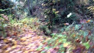 preview picture of video 'Walking along the Lime Kiln Trail near Granite Falls, Washington.'