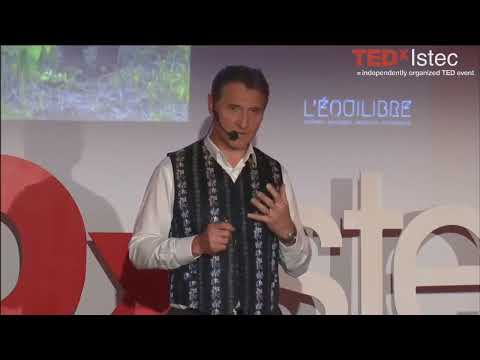 Fear can kill your business: learn to turn fear into courage