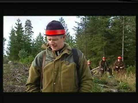 HEM TILL BYN SÄSONG 7 Avsnitt 45 - 2002