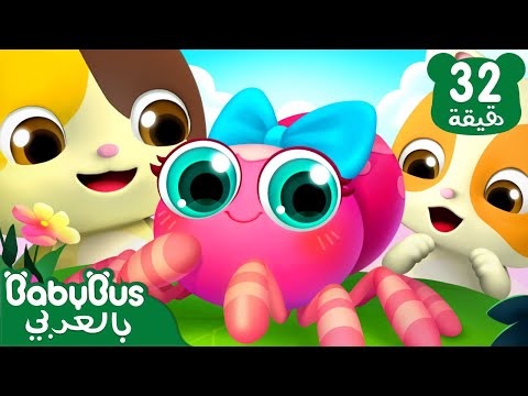 أغنية العنكبوت النونو أغنية الاطفال الكلاسكية بيبي باص itsy bitsy spider babybus arabic