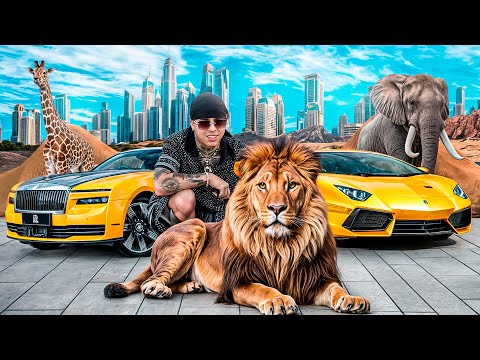 UN BILLONARIO EN DUBAI ME INVITA A SU ZOOLÓGICO PRIVADO | WESTCOL ASIA TOUR