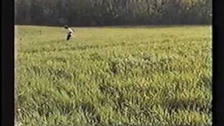 The Walkmen - Everyone who pretended to like me is gone