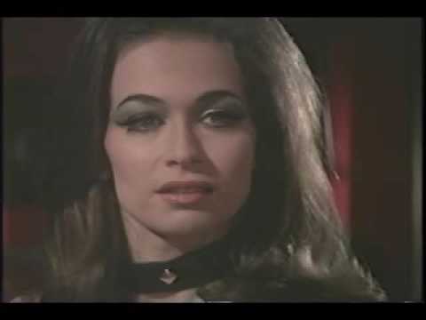 The Revenge Of The Pink Panther Cato's New Business