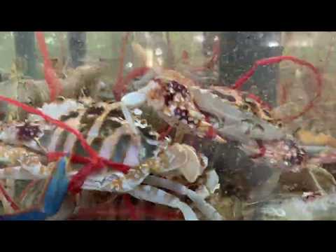 Thưởng thức buffet tại Nhà hàng Sen 61 Trần Hưng Đạo.