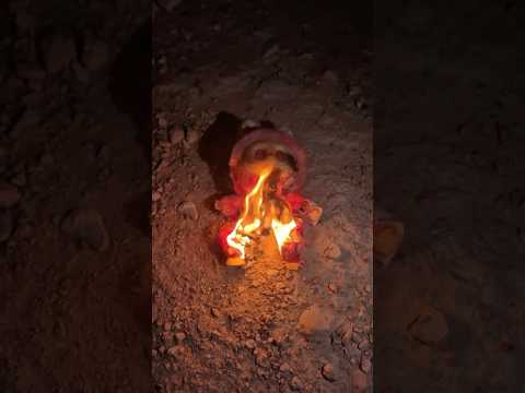 The Secret Behind Labubu's Cursed Smile!