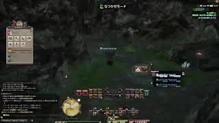 地図をするだけFF14