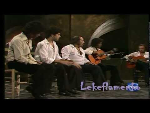 Jovenes Flamencos de Extremadura