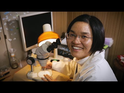 Disease resistant behavior in insects