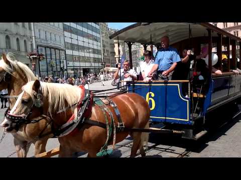 Historické koňské spřežení