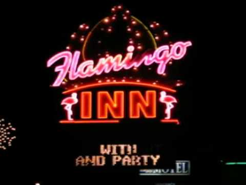 Party Hog at the famous Flamingo Inn